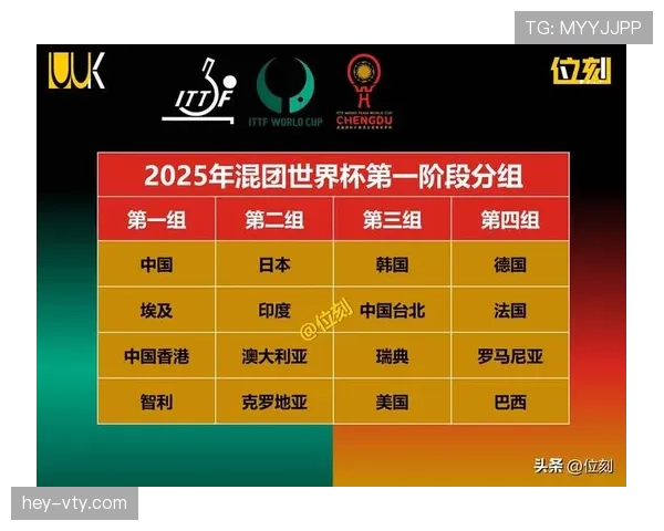世界杯E组晋级概率最新预测